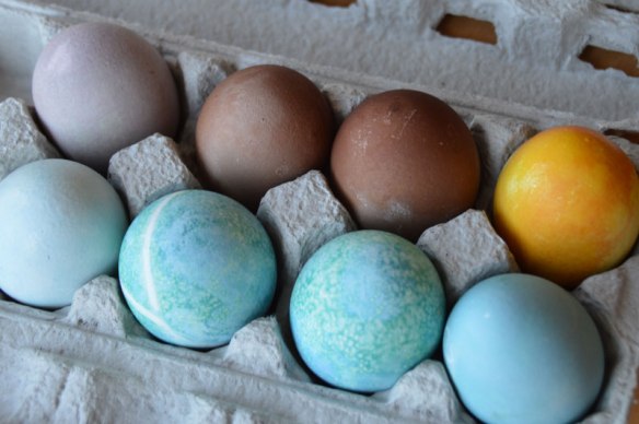 natural-dye-easter-eggs-4